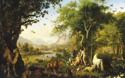 A Biblical Perspective on Marriage