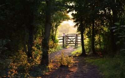 The Hope of the Narrow Way