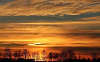 Finding Hope in the New Year