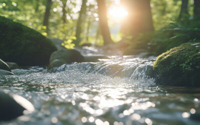 Weekly Inspiration: Living Water