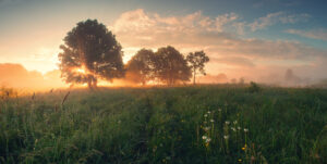 Weekly Inspiration: Attentive to Him Who Gives Life
