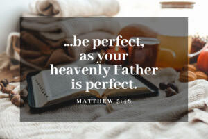 Weekly Inspiration: Perfectionism or Perfection?