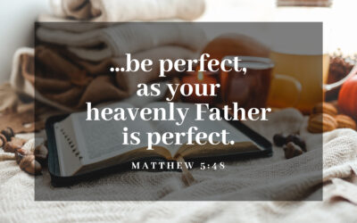 Weekly Inspiration: Perfectionism or Perfection?